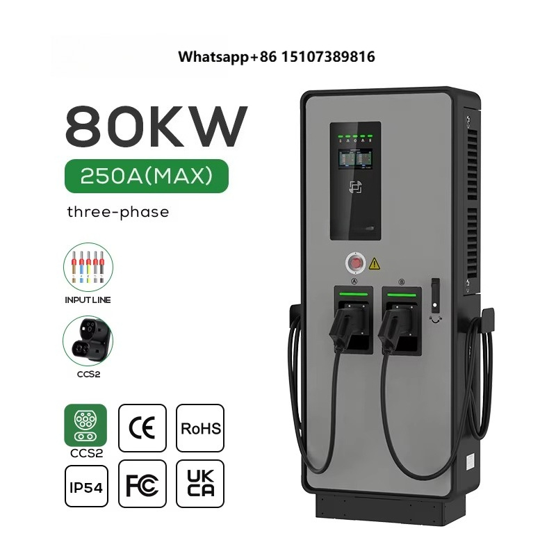 Çift DC EV Şarj Cihazı 40kw 80 - Ev Charging Pile incelemesi ve fiyatı